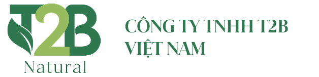 T2B Việt Nam